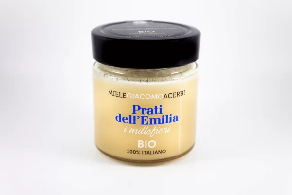 MIELE MILLEFIORI BIO 250 GR PRATI EMILIA ACERBI