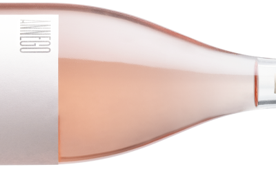 ANNEGO ROSE' FRIZZANTE IGT BARCHESSA LOREDAN