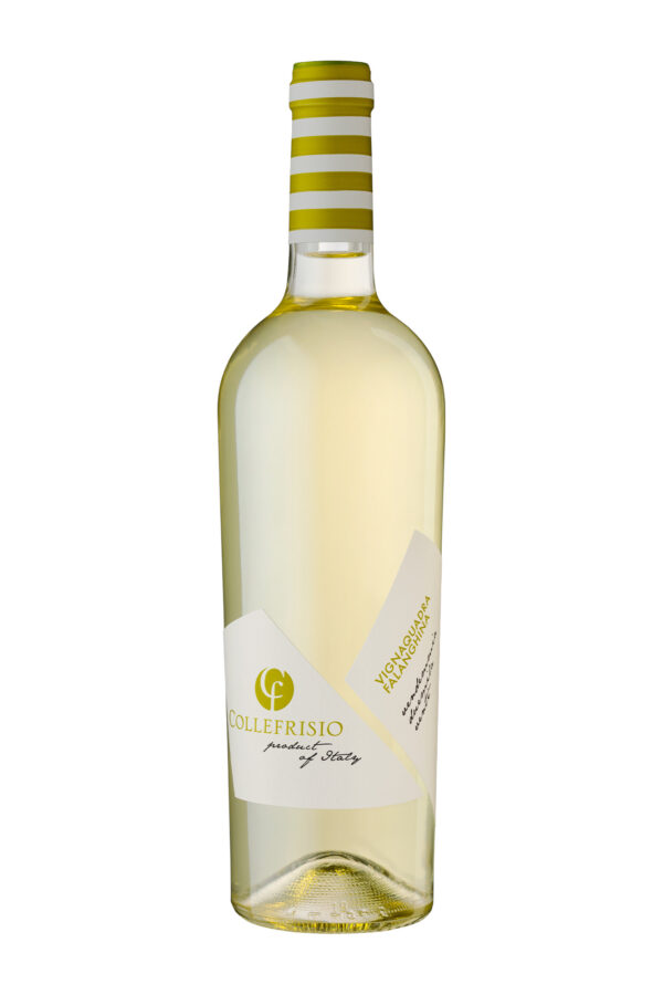FALANGHINA IGT VIGNAQUADRA COLLEFRISIO