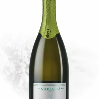 S. AMALIA PIGNOLETTO DOP DIVINJA
