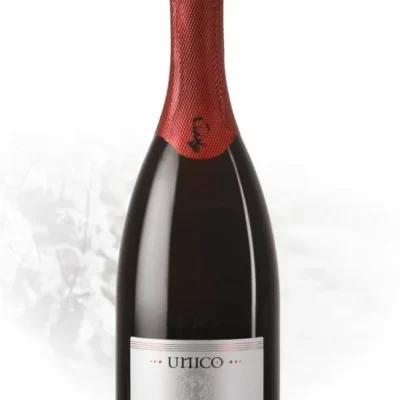 UNICO LAMBRUSCO DI SORBARA DOC DIVINJA