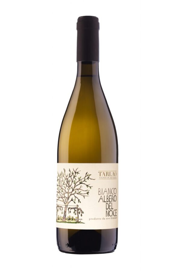 FRIULANO DOC ALBERO DEL NOCE TARLAO