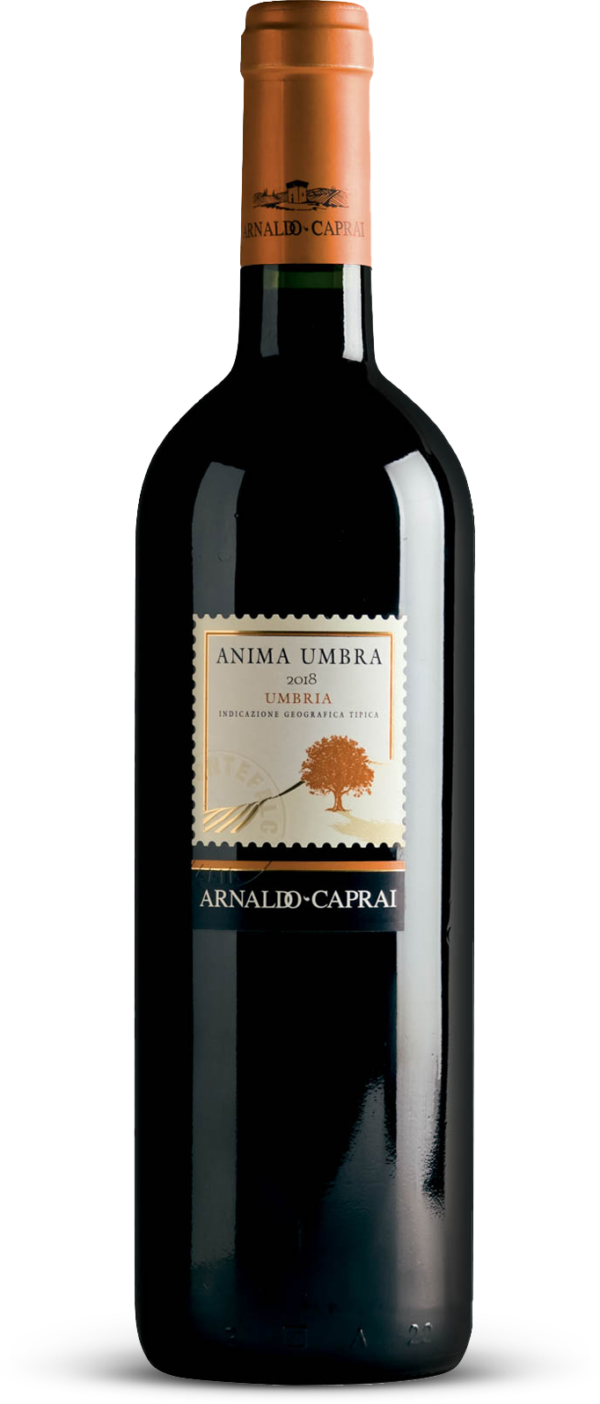 ANIMA UMBRA ROSSO IGT UMBRIA CAPRAI