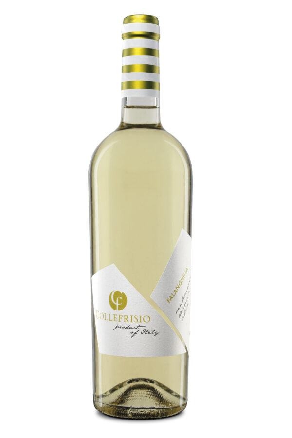 FALANGHINA IGT VIGNAQUADRA COLLEFRISIO