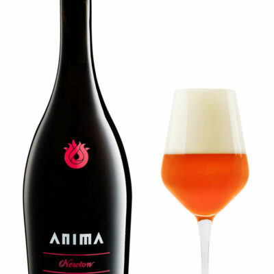 BIRRA NEWTON AMBRATA DOPPIO MALTO 75 CL ANIMA