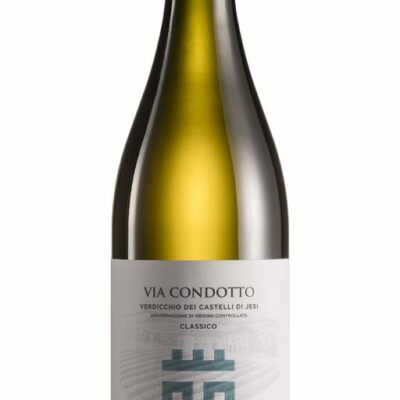 VERDICCHIO DOC VIA CONDOTTO TENUTA MUSONE